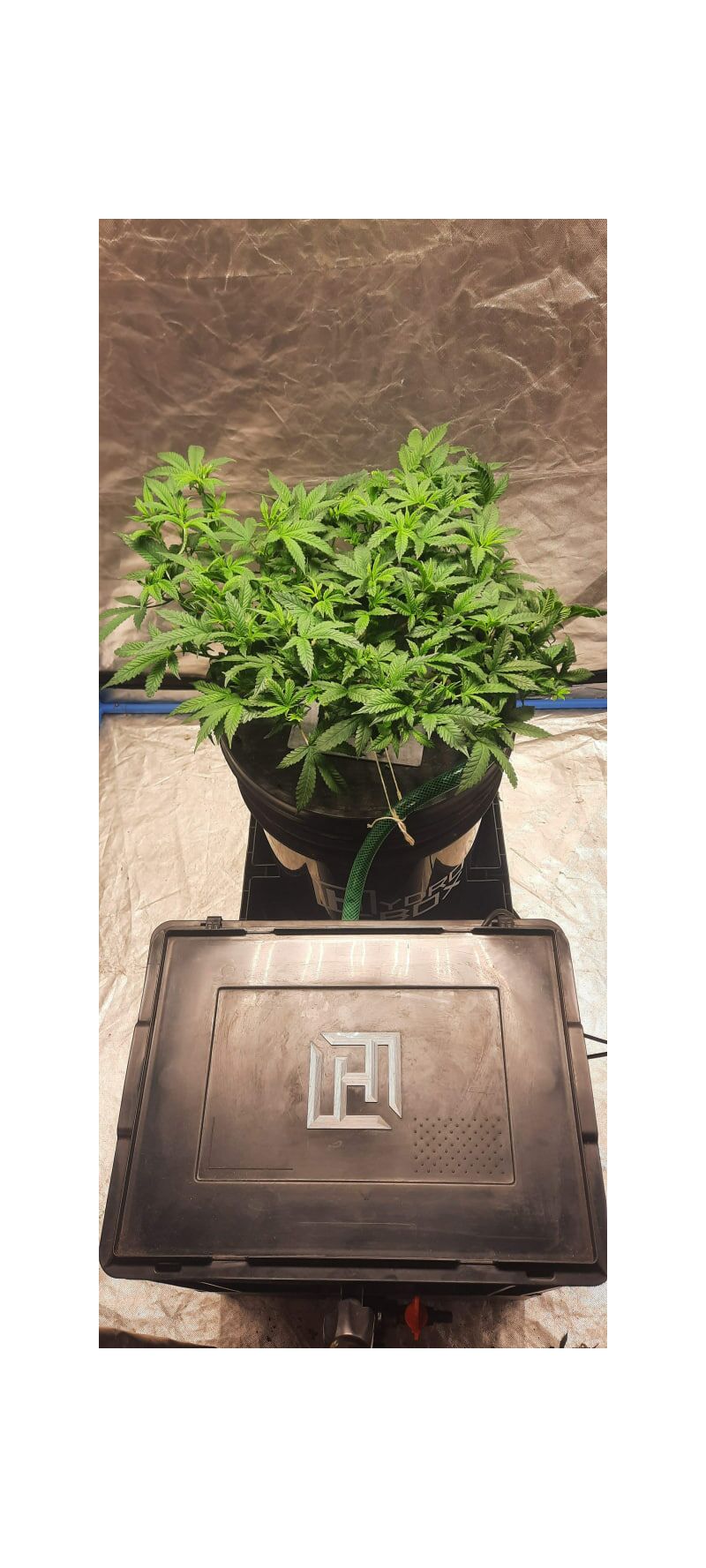 2y2, Фасовка: 3+3, изображение 2